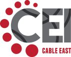 CEI_FINAL